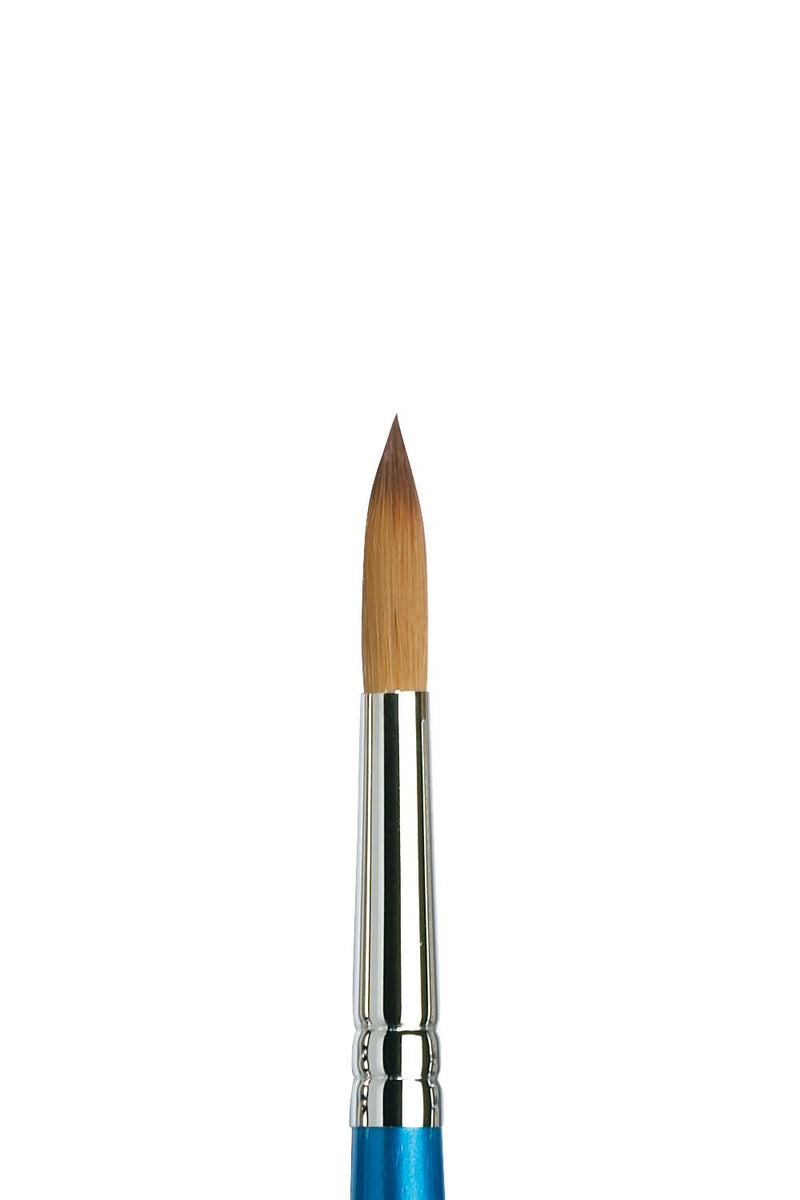 Winsor & Newton Cotman Watercolor Brushes