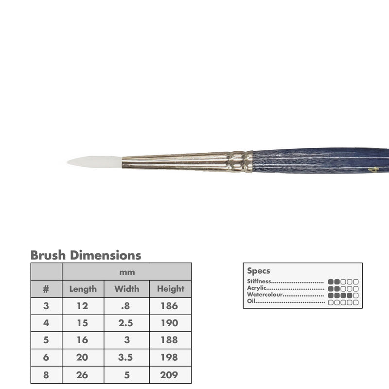 Curry's Series 2600 White Taklon Round Brushes