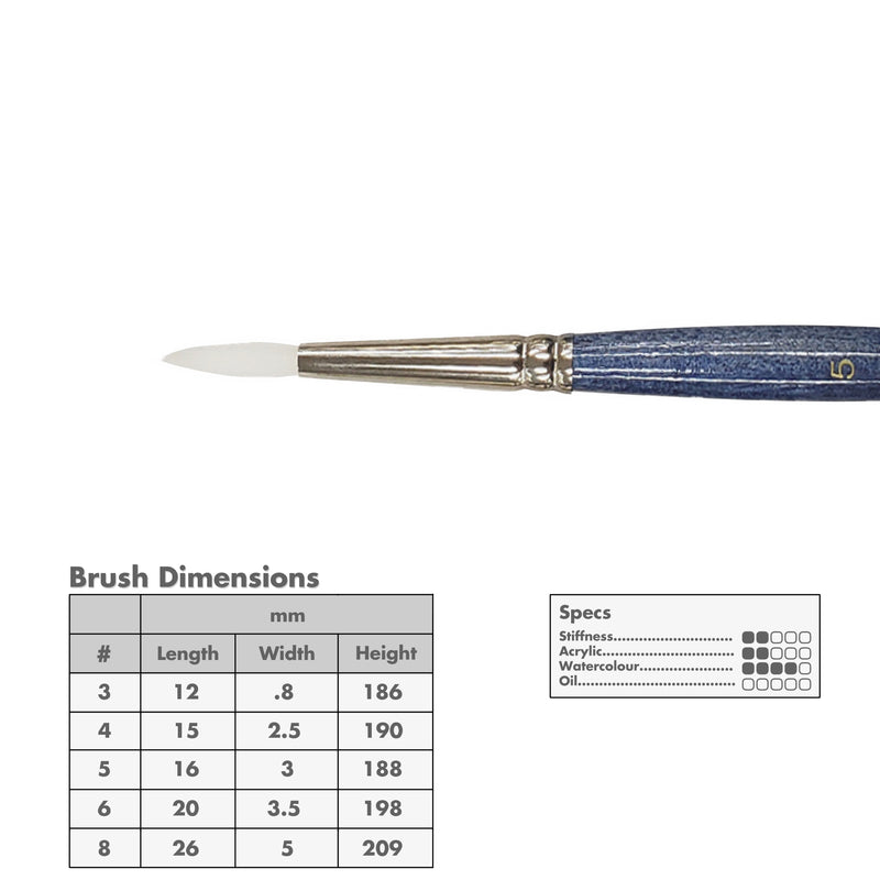 Curry's Series 2600 White Taklon Round Brushes