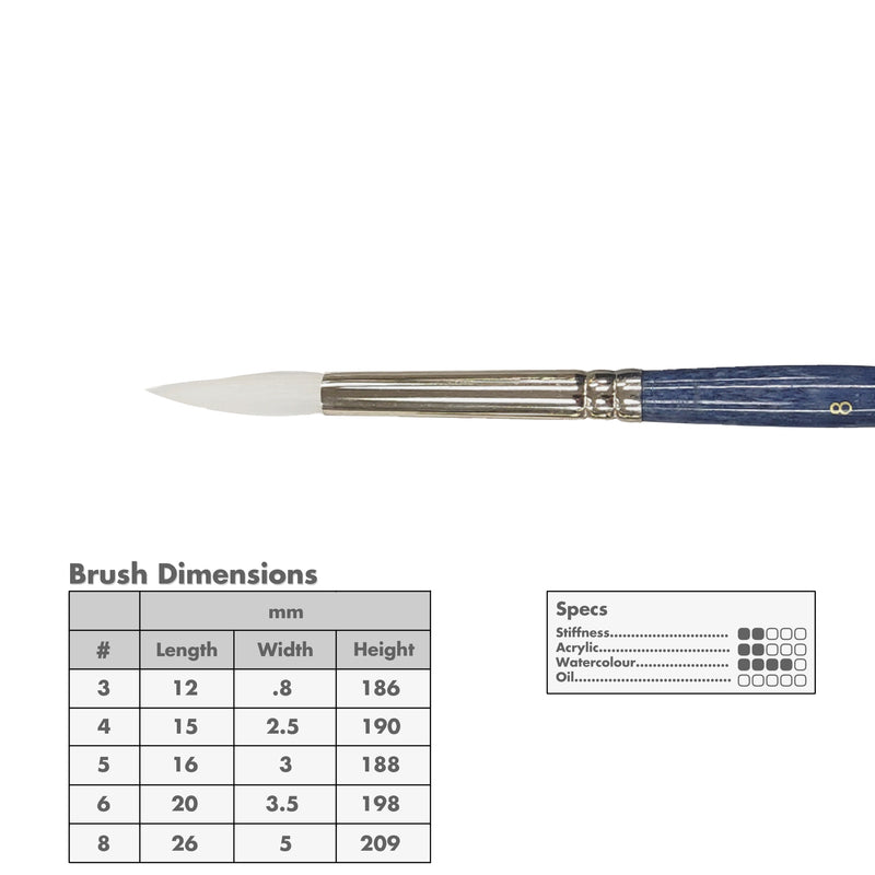 Curry's Series 2600 White Taklon Round Brushes