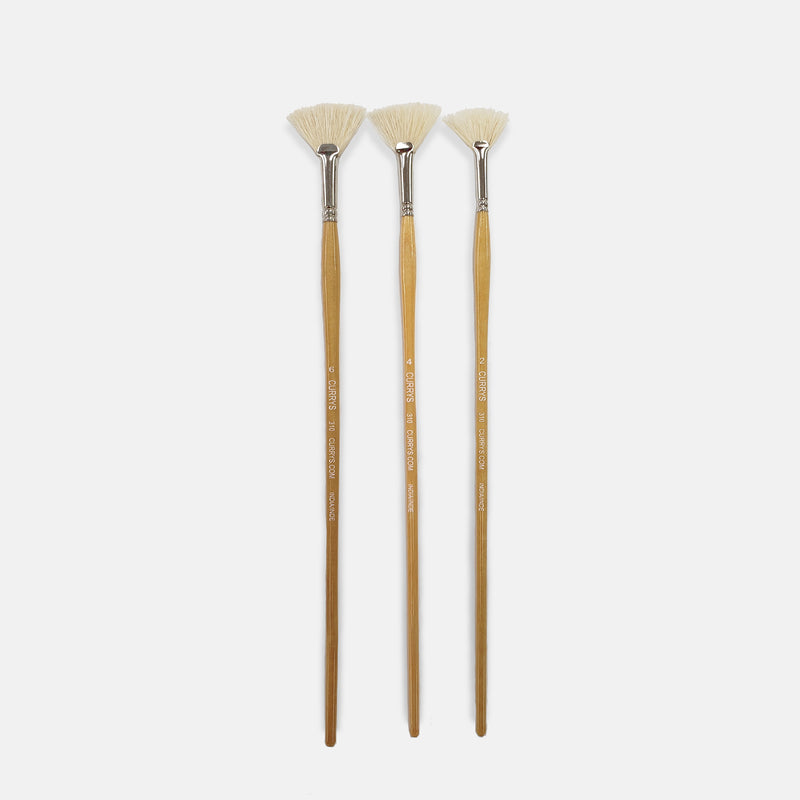 Curry's Series 310 Bristle Fan Brushes