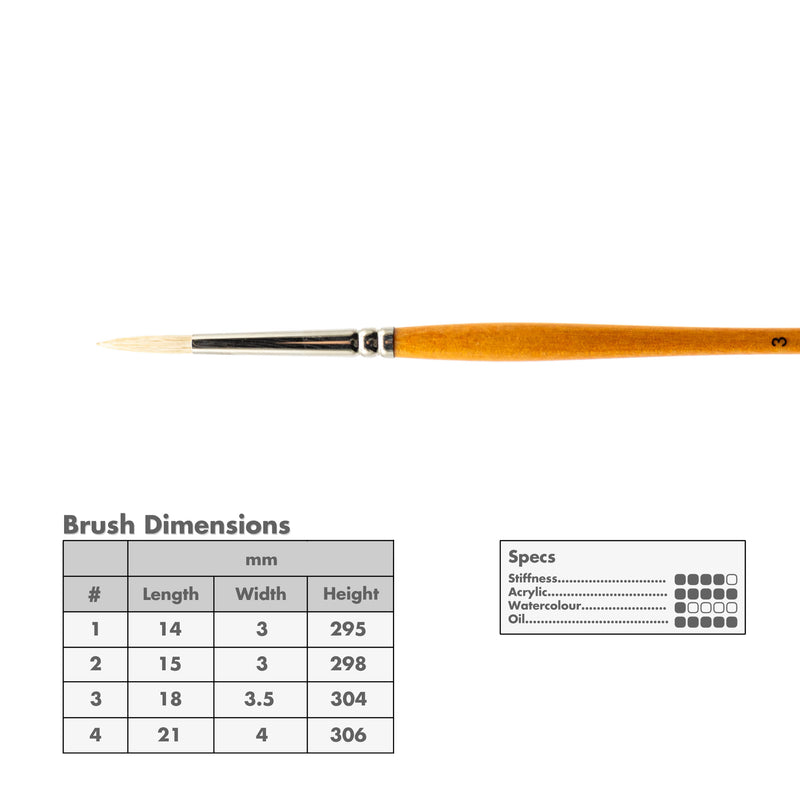 Curry's Series 755 Bristle Brushes