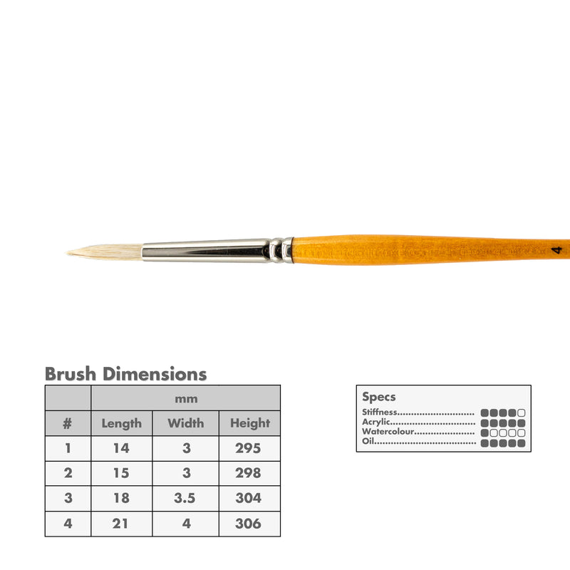 Curry's Series 755 Bristle Brushes