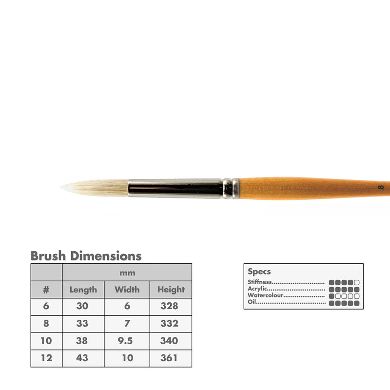 Curry's Series 755 Bristle Brushes