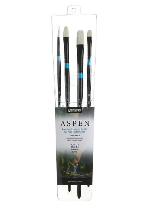 Aspen professional 4 piece set