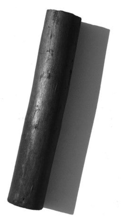 Pacific Arc Willow Charcoal