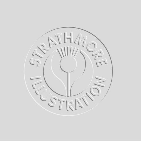 500 Serie Illustration Board Heavyweight Vellum Packs