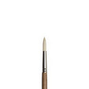 Winsor & Newton Artists' Oil Synthetic Hog Brushes