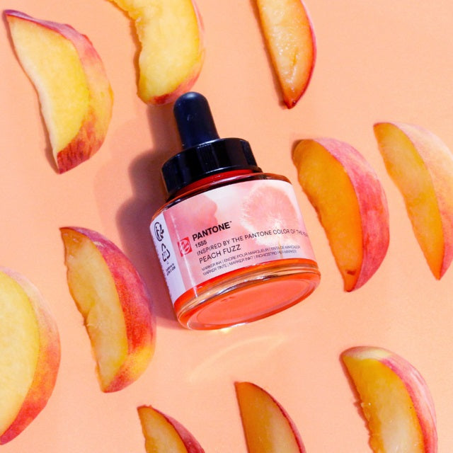 Ecoline Liquid Watercolors 30mL