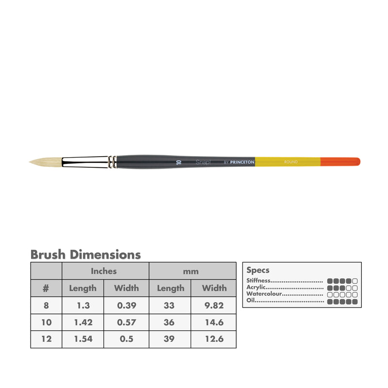 Princeton 9700 Snap! Bristle Long Handle Brushes