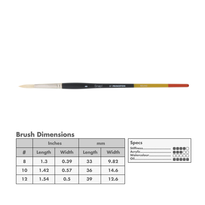 Princeton 9700 Snap! Bristle Long Handle Brushes